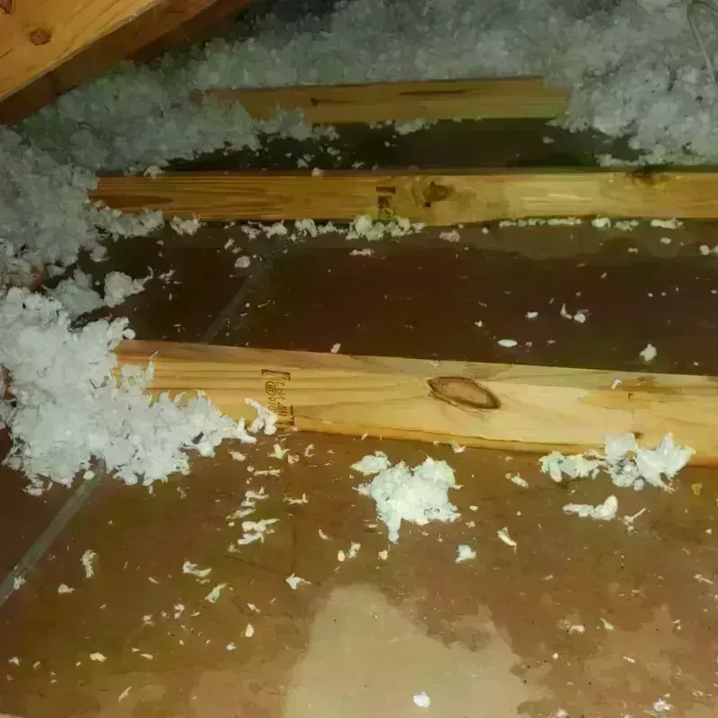 Attic Water Damage in Scott County, IL