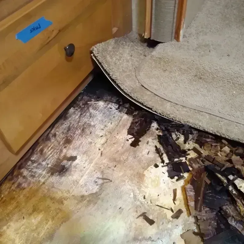 Wood Floor Water Damage in Scott County, IL